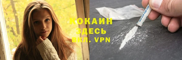 молекула духа Белоозёрский