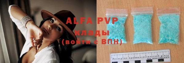 шишки Белокуриха