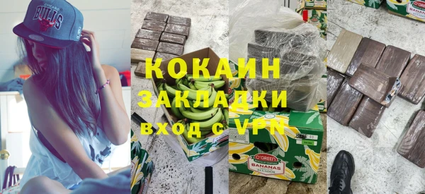 прущие грибы Беломорск