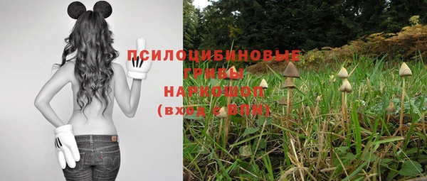 шишки Белокуриха