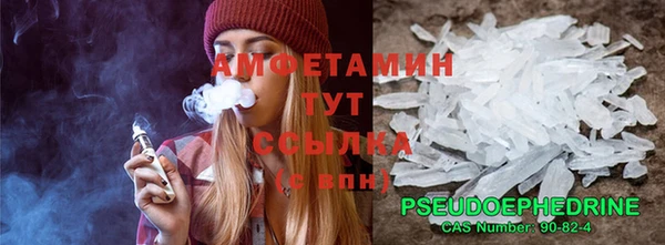 шишки Белокуриха