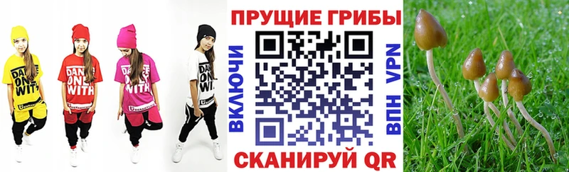 Галлюциногенные грибы прущие грибы  Шацк 
